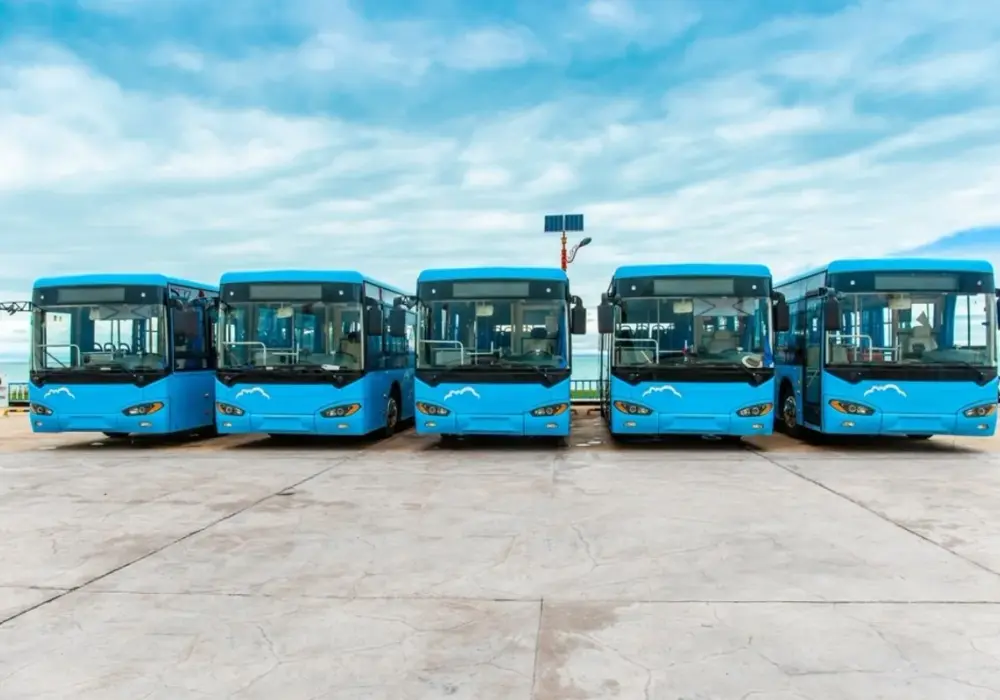Trede Trans rozkład jazdy – sprawdź, kiedy nie kursują autobusy