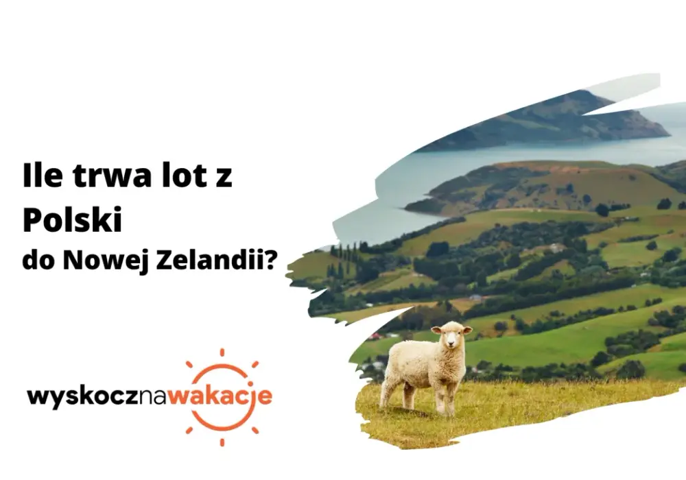 Ile trwa lot z Polski do Nowej Zelandii? Sprawdź czas i porady na długą podróż