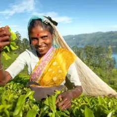 Wyspa na której leży Sri Lanka: Cejlon i jego niezwykła historia