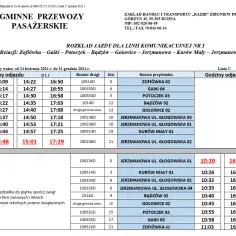 Beata Bus Choczewo rozkład jazdy – sprawdź godziny odjazdów i trasy